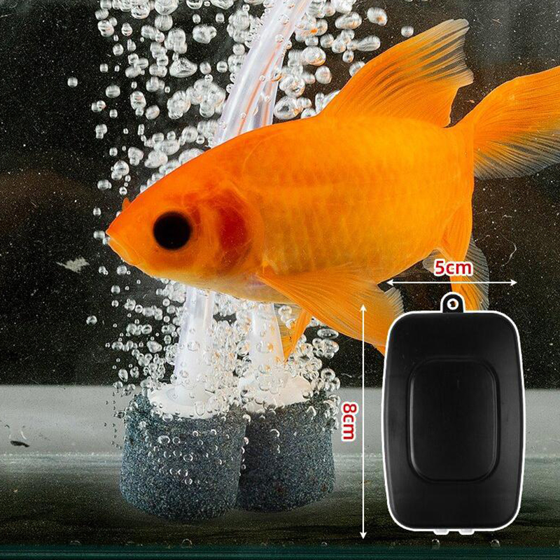 ミニ水族館エアポンプキット,USB,水槽フィルター,空気石, - Marine Aquarium Kit のレビューと価格