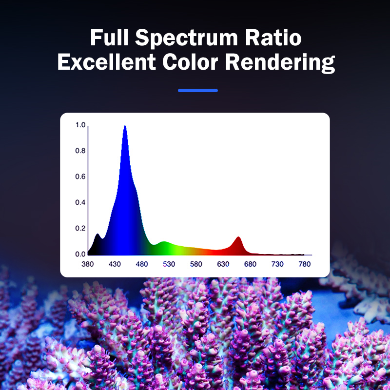 ホットKASSRAY T169/T215 CREEs LED - Marine Aquarium & Regional Centre Reviews のレビューと価格