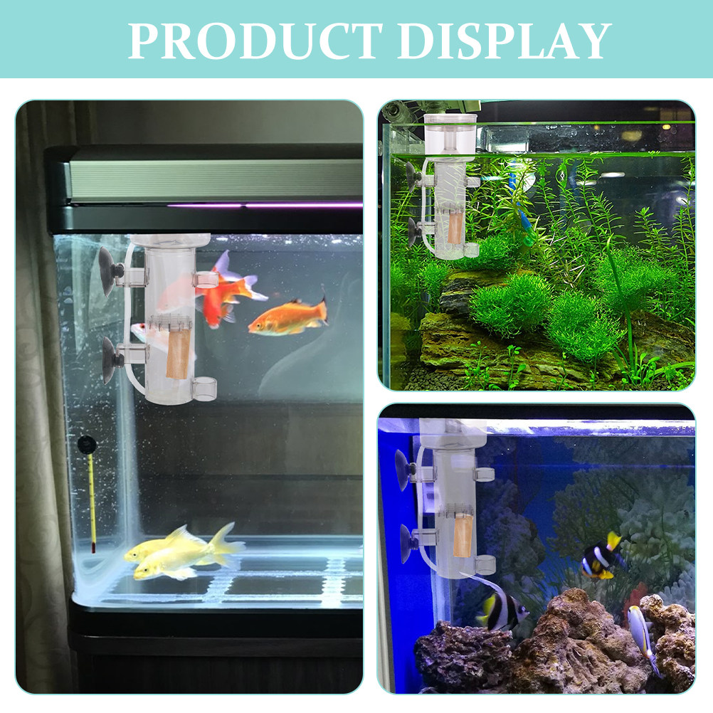 プロテインスキマー内蔵ミニ水槽セパレーター、効率的な海水タン - Marine Aquarium & Regional Centre Reviews のレビューと価格