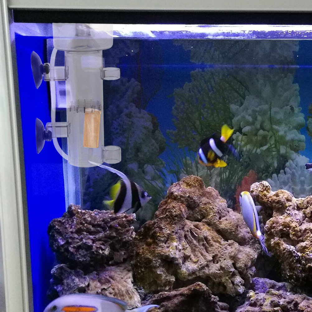 プロテインスキマー内蔵ミニ水槽セパレーター、効率的な海水タン - Marine Aquarium & Regional Centre Reviews のレビューと価格