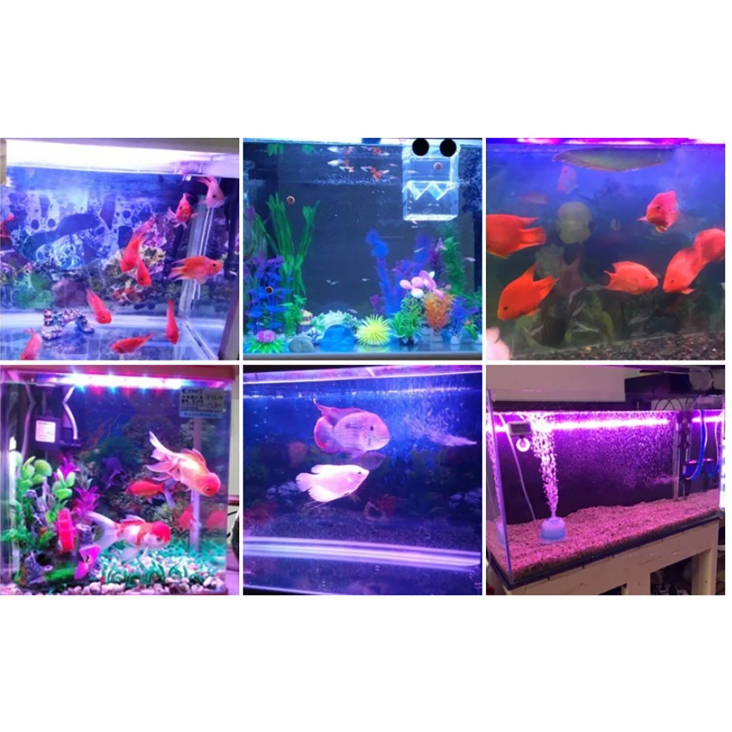50W 60W 70W 100W RGB 26-28V ハイ - Marine Aquarium Uv Light のレビューと価格