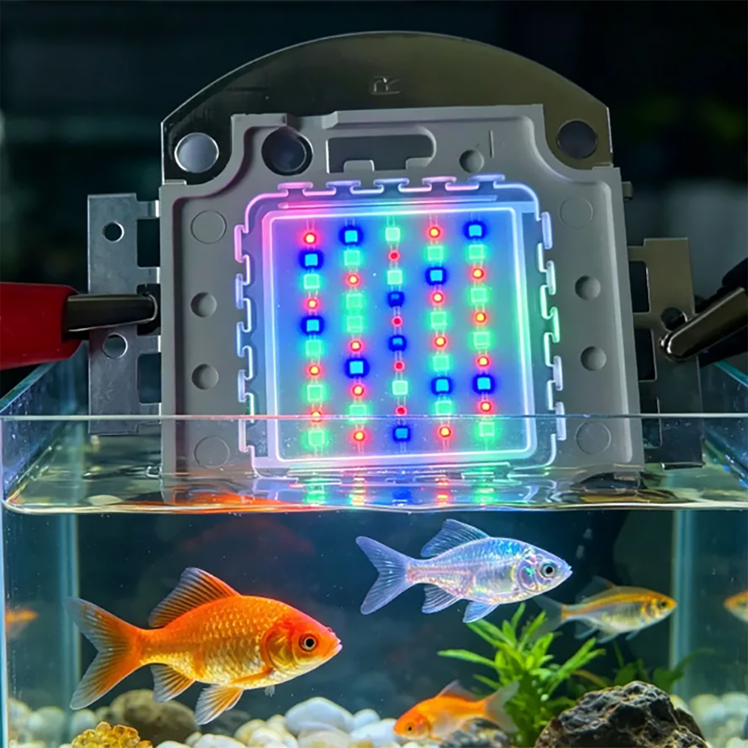 50W 60W 70W 100W RGB 26-28V ハイ - Marine Aquarium Uv Light のレビューと価格