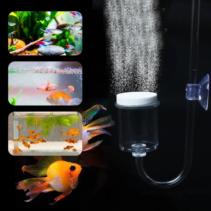 水族館用CO2ディフューザー,日曜大工のガラスタンク,バブル - Marine Aquarium Kit のレビューと価格