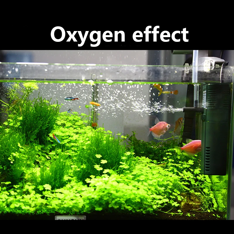 Sunsun-ミニナノ内部酸素ポンプ,111b,311b,6 - Marine Aquarium Uv Light のレビューと価格